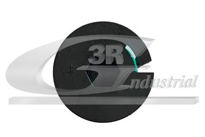 3RG 83079