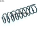 CS Germany 14.319.585 - Pružina podvozku