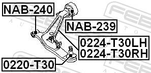 FEBEST 0224-T30LH EAN: 4056111049878.