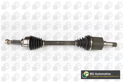 BGA DS2318L EAN: 5038206367554.