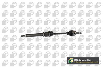 BGA DS2321R EAN: 5038206310154.