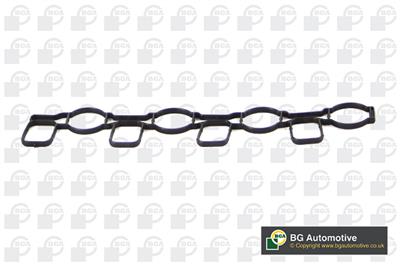 BGA MG4701