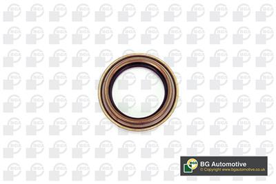 BGA OS2319 EAN: 5038206510820.