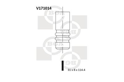 BGA V171014 EAN: 5038206053167.