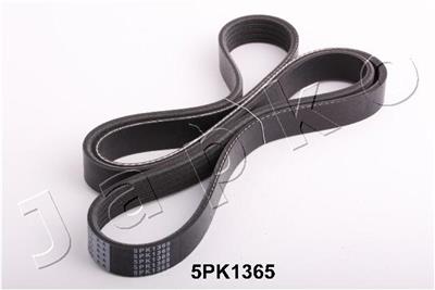 JAPKO 5PK1365 EAN: 8033001527193.