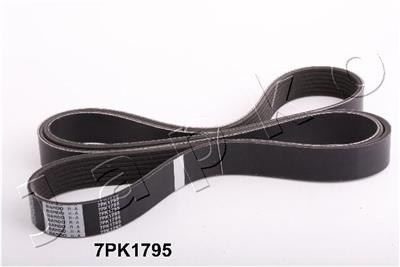JAPKO 7PK1795 EAN: 8033001780505.