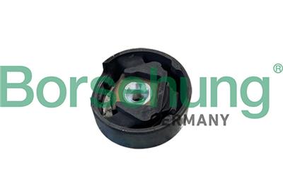 Borsehung B10032