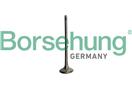 Borsehung B10335