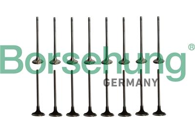 Borsehung B10338