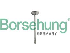 Borsehung B10351
