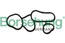 Borsehung B10621
