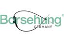 Borsehung B10781
