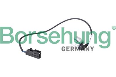 Borsehung B11873