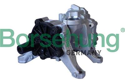 Borsehung B11903