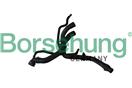 Borsehung B11977