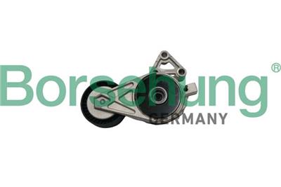 Borsehung B12239