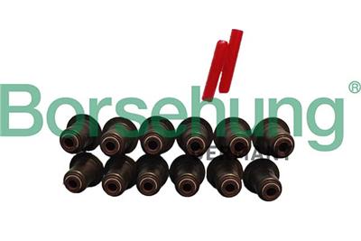 Borsehung B12508