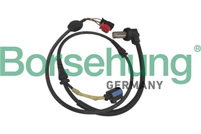 Borsehung B12863