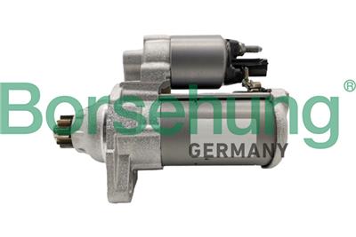 Borsehung B12871