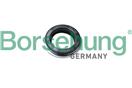 Borsehung B18294