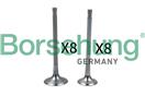 Borsehung B18634