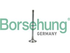 Borsehung B19007