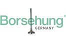 Borsehung B19020