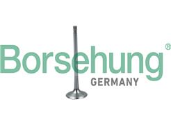 Borsehung B19026