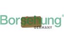 Borsehung B1G043