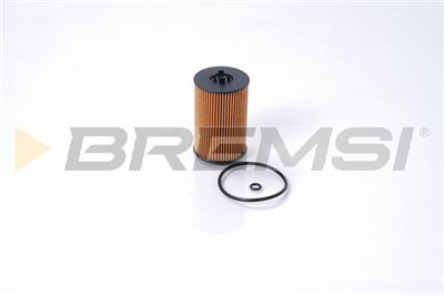 BREMSI FL0021 Číslo výrobce: SL0021. EAN: 8050141093081.