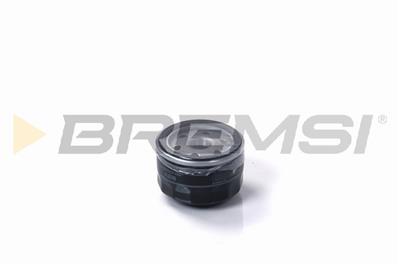 BREMSI FL0310 Číslo výrobce: SL0310. EAN: 8050141093913.