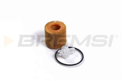 BREMSI FL0252 Číslo výrobce: SL0252. EAN: 8050141093357.