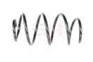 GH GH-2035533 - Pružina podvozku