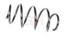 GH GH-2039715 - Pružina podvozku