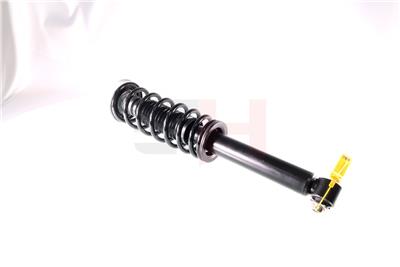 GH GH-331560C01 EAN: 4251530862194.