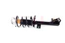 GH GH-353369C01 Quick-Strut