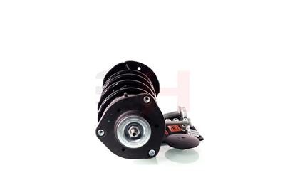GH GH-359961C20 EAN: 4251530884493.