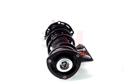 GH GH-359965C06 EAN: 4251530875750.