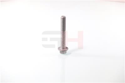 GH GH-391549 EAN: 4251530885841.