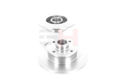GH GH-424719