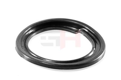 GH GH-621960 EAN: 4251530887593.