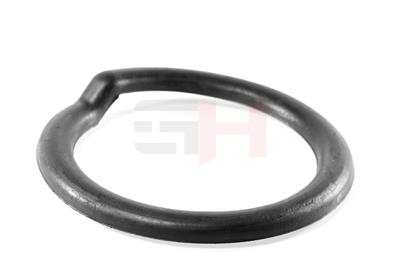 GH GH-622359 EAN: 4251530887715.