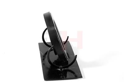 GH GH-624013 EAN: 4251530888378.