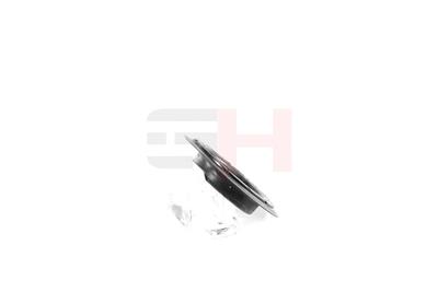 GH GH-625054 EAN: 4251530861500.