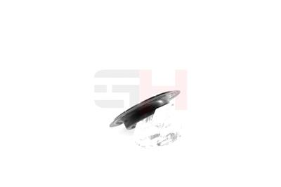 GH GH-625054 EAN: 4251530861500.