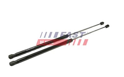 FAST FT00189 EAN: 5904157830594.