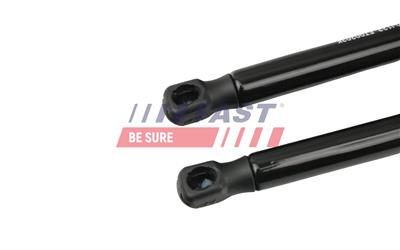 FAST FT00203K EAN: 5904157811579.