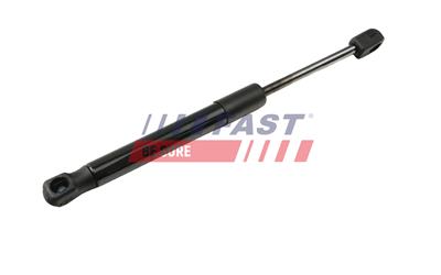 FAST FT00204