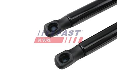 FAST FT00204K EAN: 5904157811593.