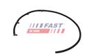 FAST FT00254
